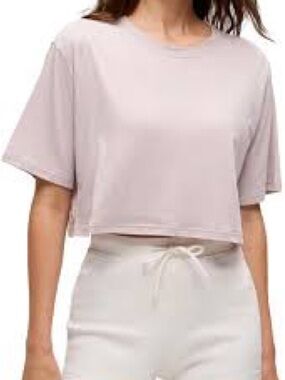 Aritzia / The Group Babaton Cropped T-Shirt